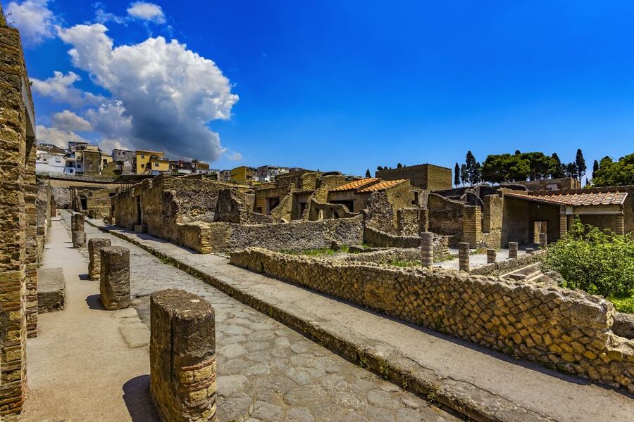 2-Hour Private Tour of the Ruins of Herculaneum - Meeting point and skip-the-ticket-line convenience