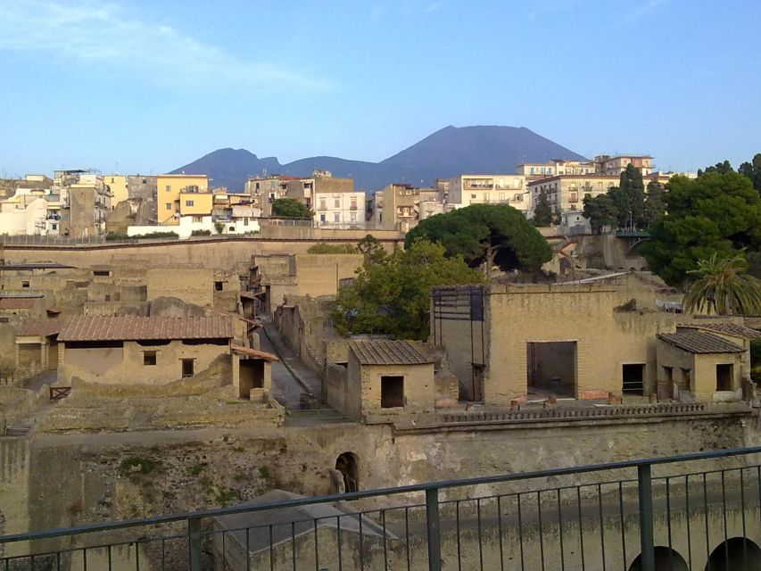 2-Hour Private Tour of the Ruins of Herculaneum - House of Neptune and Amphitrite: mosaics, plus food and wine still hanging on walls