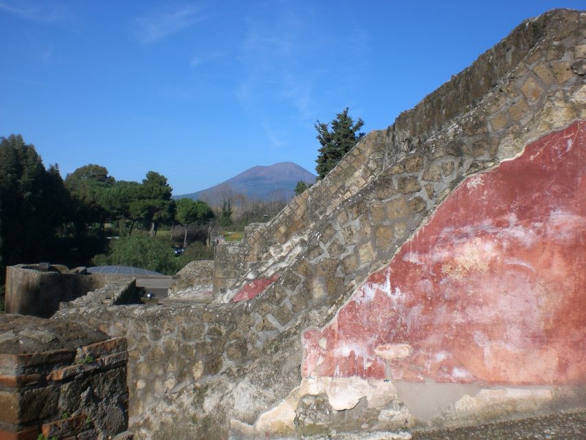2-Hour Private Walking Tour of Pompeii - Human casts in their final pose: what to do with the emotion