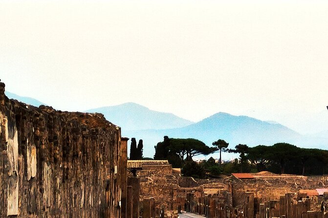 2 Hours Private Tour in Pompeii with Archaeologist - Price and value, split across a group up to 15