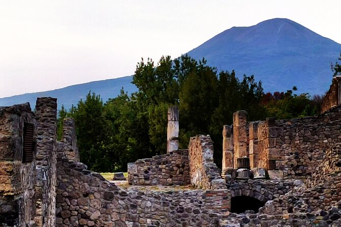 2 Hours Private Tour in Pompeii with Archaeologist - What you actually gain from a guide who also does archaeology