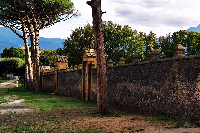 2 Hours Private Tour in Pompeii with Archaeologist - Who this Pompeii archaeologist tour is best for
