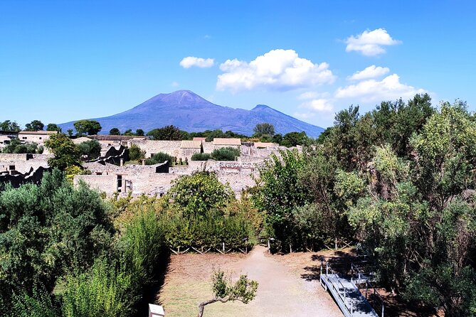 2 Hours Private Tour in Pompeii with Archaeologist - Should you book this 2-hour Pompeii private archaeologist tour?