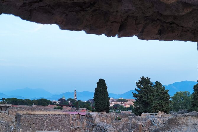 2 Hours Private Tour in Pompeii with Archaeologist - Meeting at Via Roma 101 and starting with fewer headaches