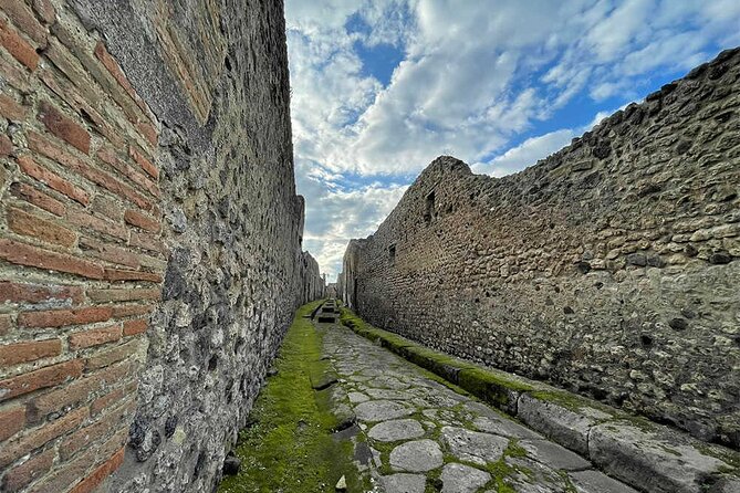 2 Hours Private Tour of Pompeii for Journey Through Time - Why this 2-hour Pompeii route works (and what it leaves out)