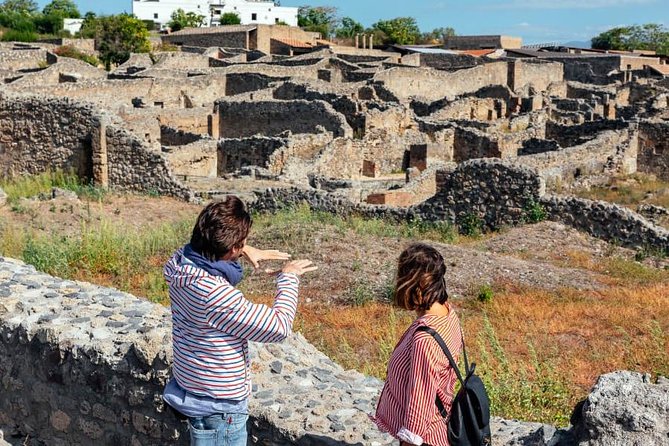 2 Hours Private Walking Tour in Pompeii with an Archaeologist - Price and Logistics: How the Entrance Fee Changes the Math