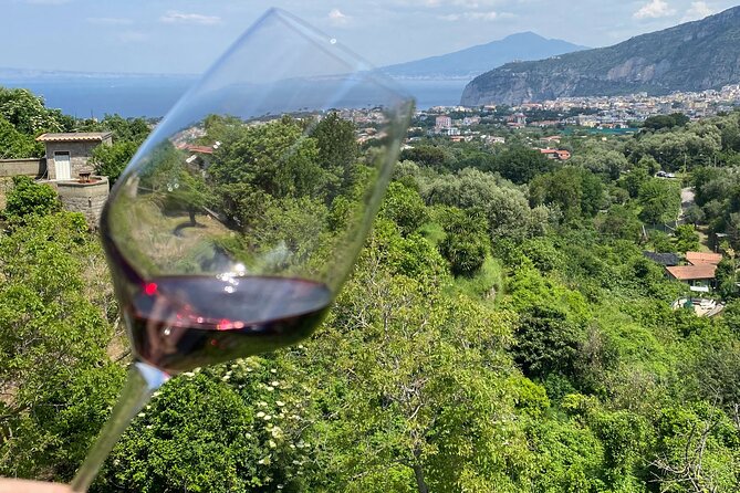5 Wine Tastings with Typical Products in Sorrento Coast - Who this tour fits best