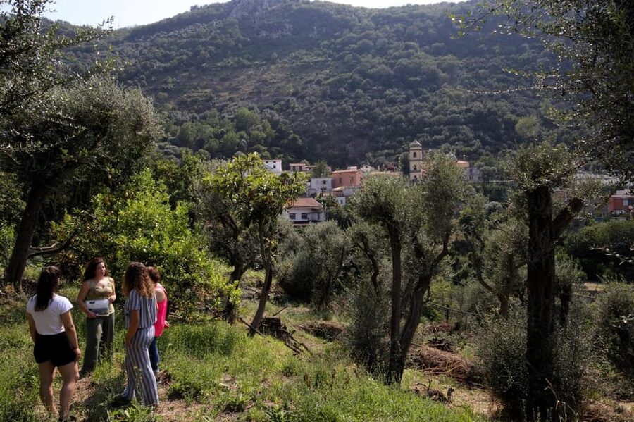 5 Wine Tastings with Typical Products in Sorrento Coast - Small group, big difference: what it means when you’re capped at 8