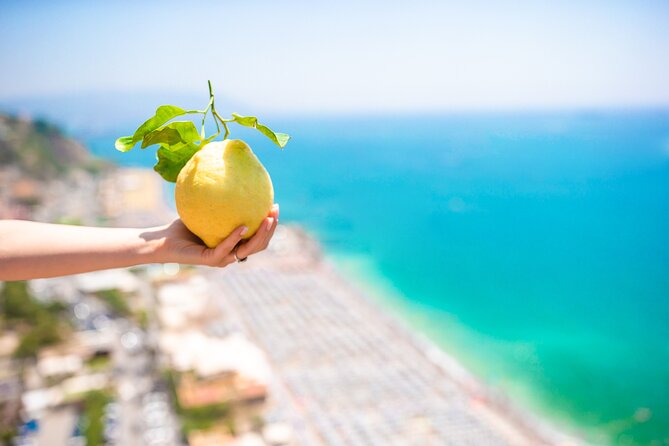 6-hour Private Tour, from Salerno to Pompeii, Ravello and Amalfi - Price and value: what you’re really paying for