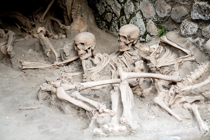 All inclusive Herculaneum Skip the Line Tour From Sorrento - Skip-the-line entry at Parco Acheologico di Ercolano