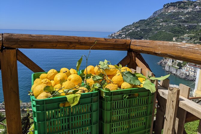 Amalfi Coast - Maiori: Path of Lemons Tour with Tasting - From Maiori to Minori: what the walk actually feels like