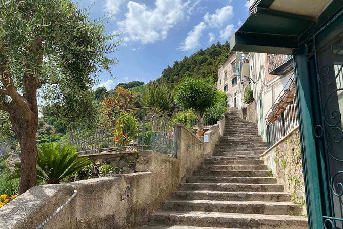 Amalfi Coast - Maiori: Path of Lemons Tour with Tasting - The tasting and the farm stop: what’s included and what costs extra