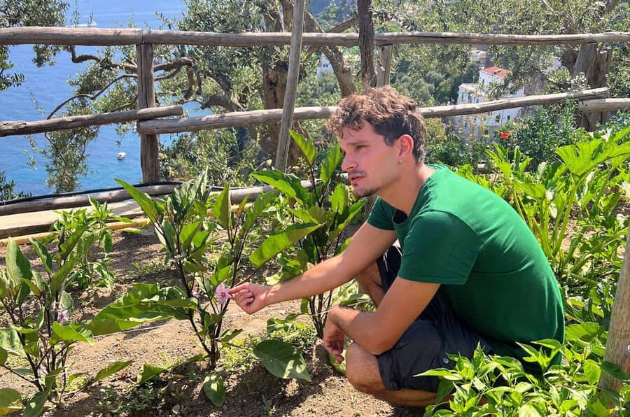 Amalfi Coast: Pizza & Mozzarella Class with Farmhouse visit - Wood-fired oven baking: the part where timing actually counts