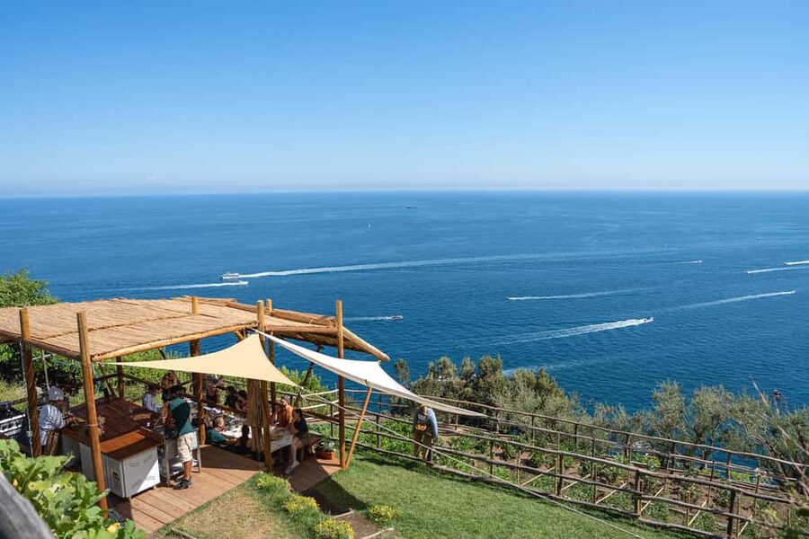 Amalfi Coast: Pizza & Mozzarella Class with Farmhouse visit - Terraced lemon grove tour: where the ingredients start their story