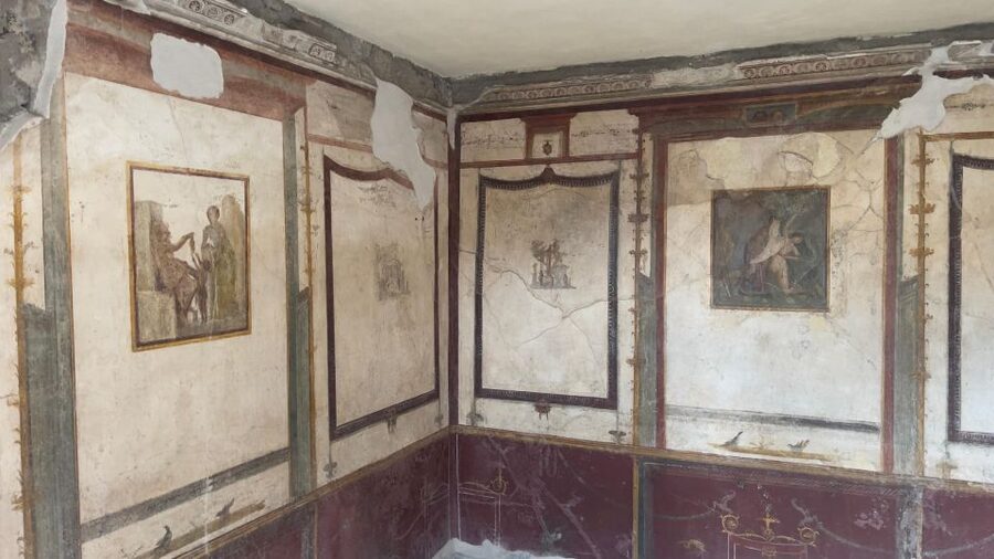 Amalfi Coast: Pompeii Ruins Guided Tour - Residential houses: imagining everyday Pompeii