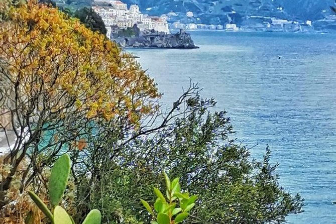 Amalfi Coast Private Tour from Sorrento: Exclusive Mercedes Van - Ravello with two hours up high: Villa Cimbrone and Villa Rufolo views