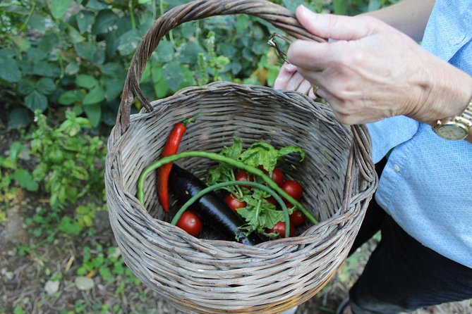 Amalfi Coast & Sorrento Cooking Class School at Farmhouse - A farmhouse morning that starts with real ingredients