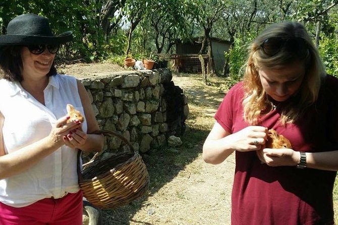 Amalfi Coast & Sorrento Cooking Class School at Farmhouse - Lunch with wine pairings, then dessert to seal the deal