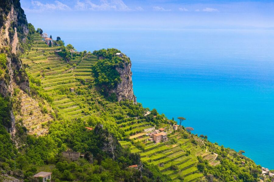 Amalfi: Cooking Class and Farmhouse Visit With Meal - Price and value: what $157.47 buys you in real terms