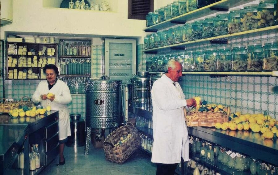 Amalfi: Limoncello Factory Visit with Instructor and Tasting - Who should book this limoncello factory visit