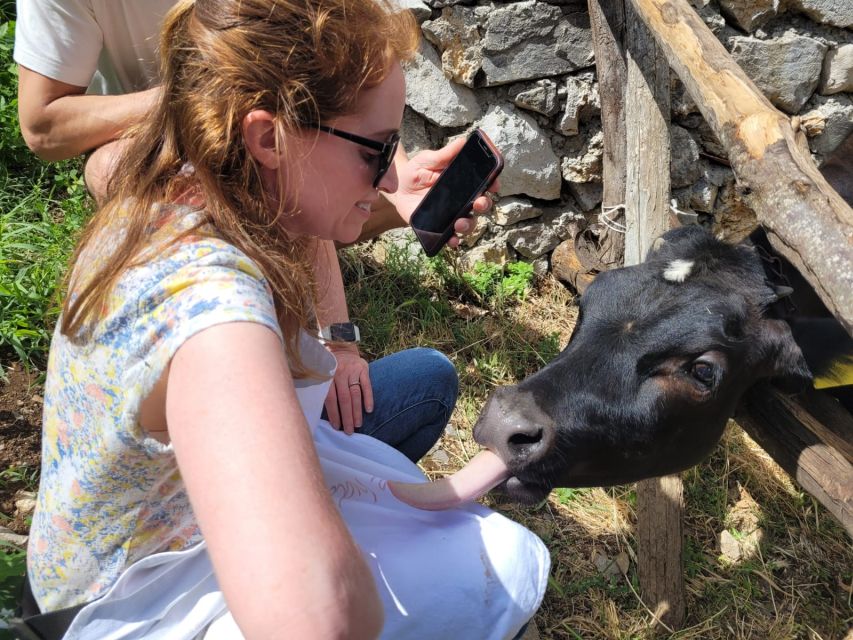 Amalfi: Make tagliatelle, mozzarella and tiramisù - A family-run farm above the Amalfi Coast