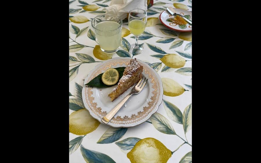 Amalfi Organic Lemon Tour & Tasting in the Historical Garden - The tasting break with Amalfi views: lemonade, limoncello, and cake