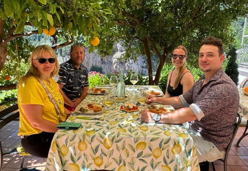 Amalfi Organic Lemon Tour & Wine Tasting + Dinner or Lunch - Price and value: what $243.56 gets you in Amalfi