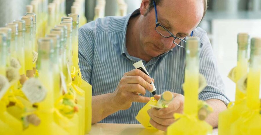 Amalfi: Vertical Lemon Farm Tour, Tastings, and Rural Museum - Key things that make this tour worth your time