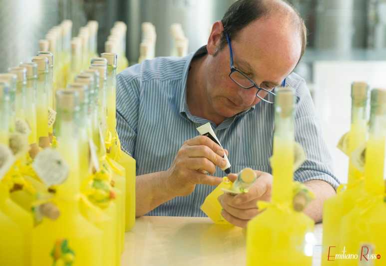 Amalfi: Vertical Lemon Farm Tour, Tastings, and Rural Museum - Walking the vertical lemon terraces (and why it feels so different)