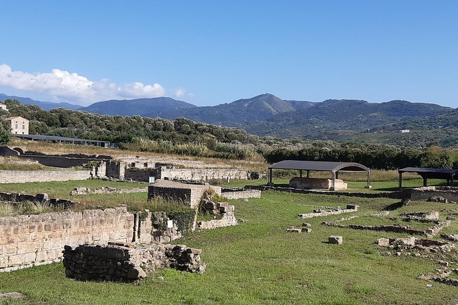 Archaeological Park of Velia “An Italian jewel, Costa Campana” - Key things to know before you go to Torre Velia di Ascea