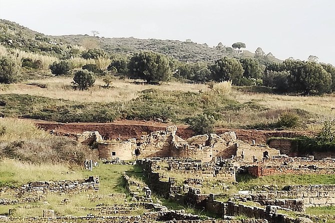 Archaeological Park of Velia “An Italian jewel, Costa Campana” - Price and timing: what $77.95 gets you (and what to budget for)