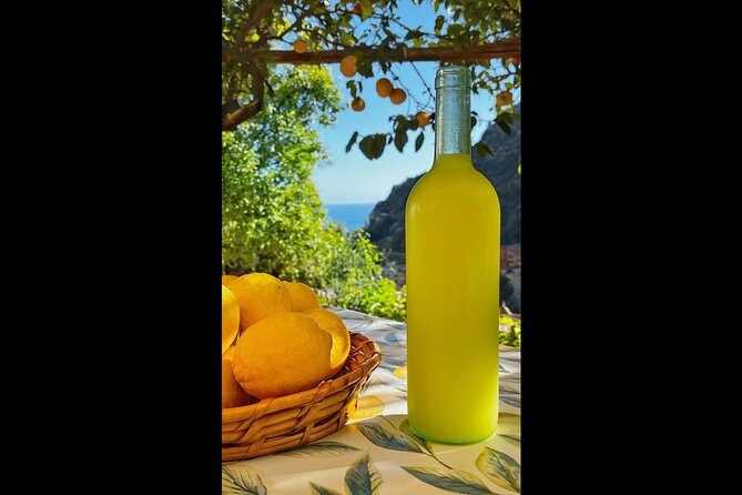 Authentic Amalfi Lemon Tour & Tasting in the Historical Garden - Practical value: the $49.48 price makes sense because you get more than a sip