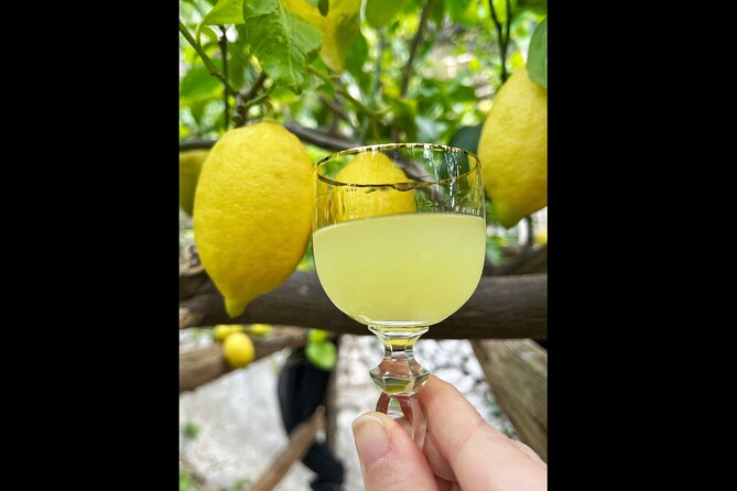 Authentic Amalfi Lemon Tour & Tasting in the Historical Garden - Who this tour is best for, and who should skip it