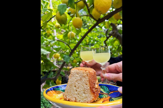 Authentic Amalfi Lemon Tour & Tasting in the Historical Garden - What you actually eat and drink: organic lemonade, limoncello, and lemon cake