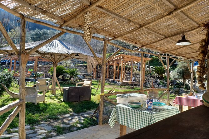 Authentic Farm Tour with Pizza, Cheese, Wine & Limoncello Tasting - Stop 1 at the Agriturismo: Animals, Seasonal Crops, and First Tastings