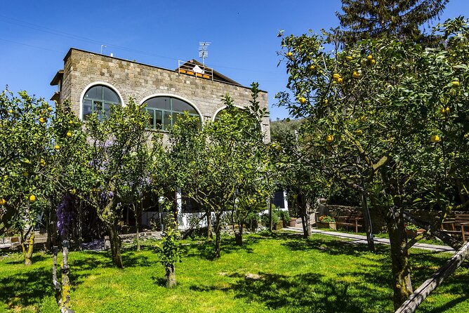 Backroads & Limoncello Experience: Sorrento E-Bike Tour - Key highlights you will feel on the ride