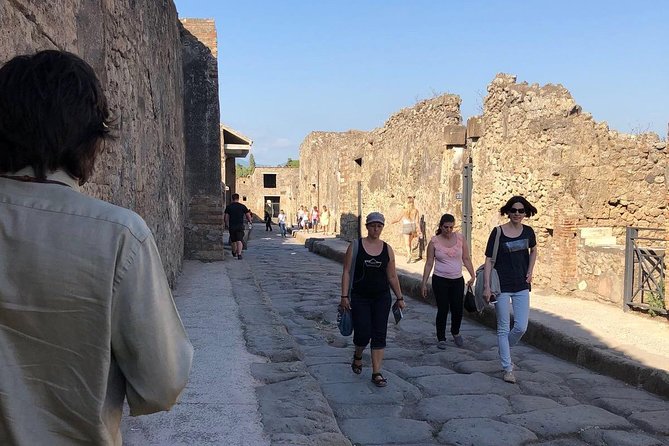 Best of Pompeii & Herculaneum: Private Tour with an Archaeologist - Price and value for a group up to 8