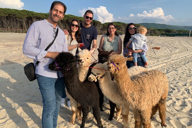 Calabrian Alpacas Sunset Beach Experiences Pizzo VV AlpacSelfies - Price and value: is $36.14 for an hour fair?