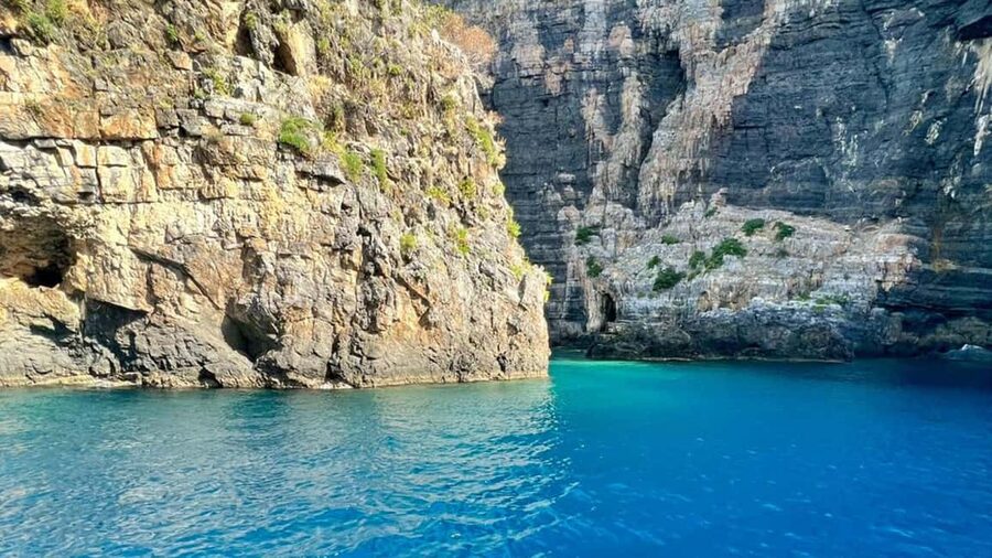 Camerota: boat tour exploring Baia Infreschi - Cala Pozzallo swim stop: crystal clear water with a crowd tradeoff
