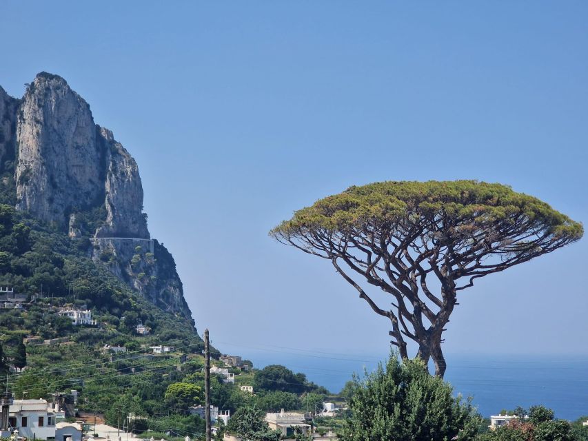 Capri, Anacapri & Blue Grotto Small Group Tour - Mount Solaro Chairlift Option for Sweeping Views