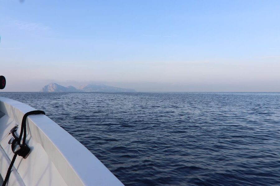 Capri and Anacapri tour: Faraglioni and Caves from Sorrento - Gardens, chairlift, and Villa San Michele: what costs extra and why it can still be good value