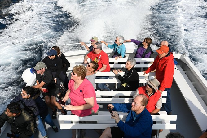 Capri Coast to Coast: Boat Tour with Optional Blue Grotto - Inside the grotto experience: what to expect once you pay