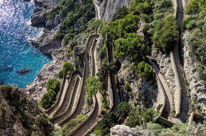Capri Day Trip with Blue Grotto From Naples or Sorrento - Price and value: is $204.70 worth it?