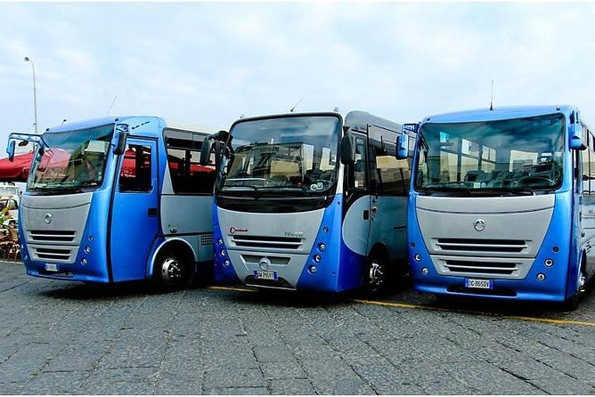 CAPRI - DIY Day Trip Package - BoatTour, BlueGrotto,Bus&Lunch - Capri Center and La Piazzetta free time for wandering
