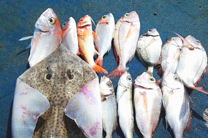 Capri Fishing Excursion with Snorkeling and Lunch from Sorrento - Key highlights to know before you book