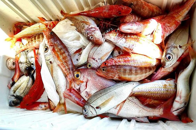 Capri Fishing Excursion with Snorkeling and Lunch from Sorrento - Price, inclusions, and what to double-check before you go