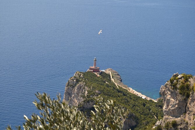 Capri Island and Blue Grotto Small Group Day Tour from Capri Port - Why this Capri small-group tour feels easier than DIY