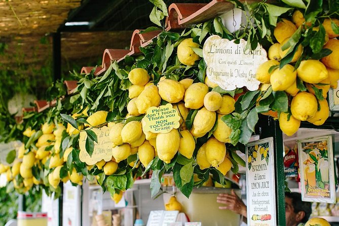 Capri Private Boat Tour from Sorrento, Positano or Amalfi - Marina Piccola and Faraglioni: The Capri Photos You Actually Want