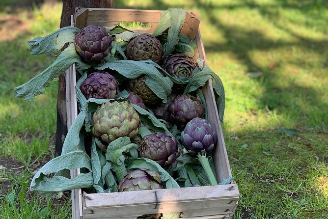 Cook and Eat in a Citrus Grove in Sorrento - Your Chef and the Style of Instruction
