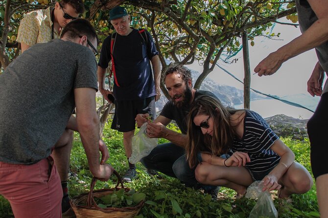 Cooking Class with garden visit - Pairings and pacing: how the experience handles the steps